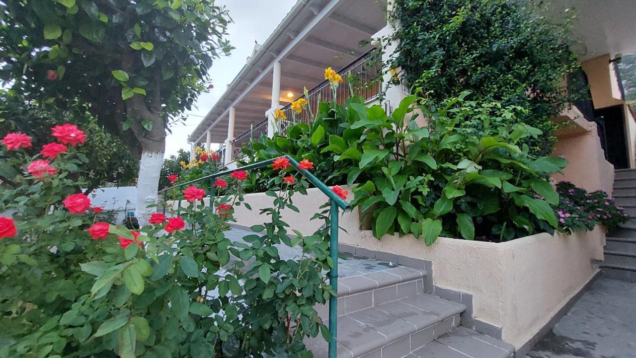 Anna Studios Ζόλα Εξωτερικό φωτογραφία